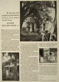 1917 Cream of Wheat Ad ~ Alfred Olivier Hero, Jr.