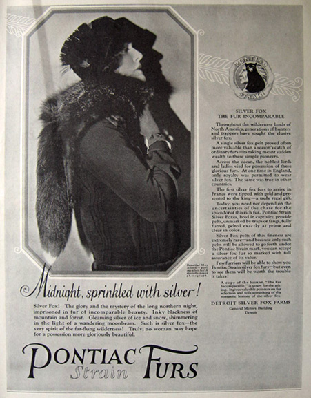 1925 Pontiac Strain Furs Ad ~ May Allison ~ Silver Fox