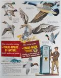 1949 Ethyl Gasoline Ad ~ Goose Identification