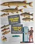 1949 Ethyl Gasoline Ad ~ Fishing, Fish Identification
