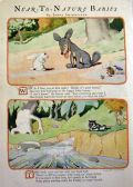 James Swinnerton Near-to-Nature Babies ~ Wolf Pup, Baby Bunny, Civet