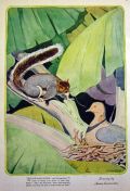 1930 James Swinnerton Print ~ Squirrel & Dove