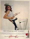 1966 Smirnoff Vodka Ad ~ Julie Newmar