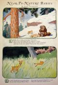 James Swinnerton Near-to-Nature Babies ~ Wolverine, Chinese Water Deer