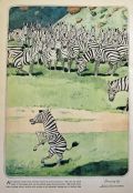 1930 James Swinnerton Print ~ Zebras