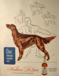 1945 Walker's Deluxe Whisky Ad ~ Irish Setter Dog
