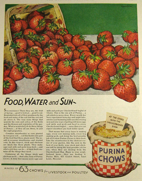 Purina Ads