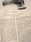 1896 American Crickets, Samuel H. Scudder ~ Antique Illustrated Article