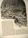 1873 Mendocino & Clear Lake, California ~ Old Magazine Article ~ Illustrated