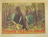 1930's Dr. Miles Nervine Advertising Booklet