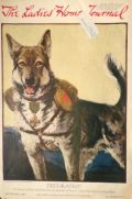 1918 Ladies Home Journal Cover ~ French Red Cross Dog, Duke