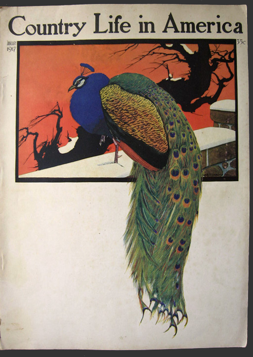 1917 Country Life Magazine Cover ~ Charles Livingston Bull, Peacock