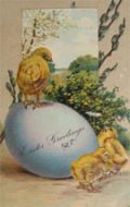 Chick Stands on Large Egg Easter Greetings Postcard