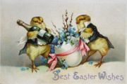 Chicks in Tuxedo with Champagne Easter Postcard
