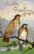 Easter Greetings Bird with Real Feathers Postcard