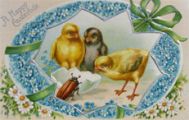 Happy Eastertide Chicks with Beetle Postcard