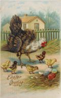 Easter Greeting Rooster with Chicks Postcard