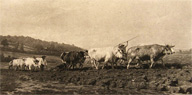 Plowing in Nivernais Antique Art Print ~ Rosa Bonheur
