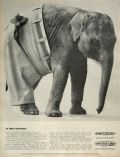 1963 Sanforized Plus Ad ~ Elephant Wearing Pants Photo