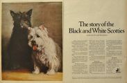 1968 Black & White Scotch Ad ~ Story of the Scotties