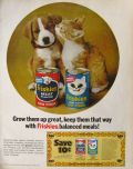 1971 Friskies Dog & Cat Food Ad ~ Kitten Kisses Puppy