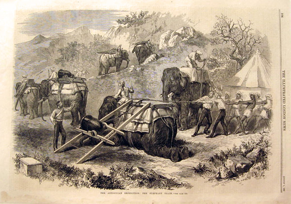 Abyssinian Expedition Elephant Train 1868 Antique Print