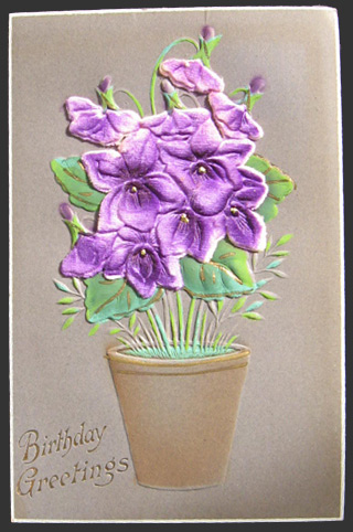 Birthday Greetings Velvet Flowers Postcard