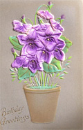 Birthday Greetings Velvet Flowers Postcard