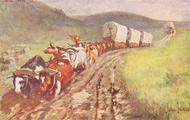 John Innes Bull Train Postcard