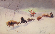 John Innes Dog Train Postcard