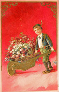 Boy with Flower Cart Postcard