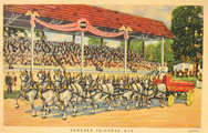 Genesee 12 Horse Ale Rochester, NY Postcard