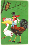 Dressed Rooster & Chicken on a Date Postcard