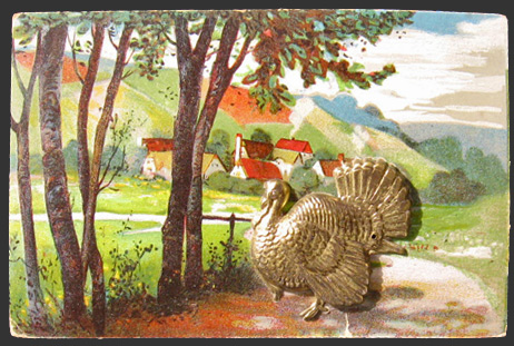 Tin Turkey Novelty Postcard