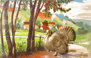 Tin Turkey Novelty Postcard