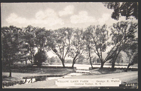 Willow Lake Farm Central Valley NY Postcard