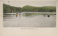 Wood Lake Central Valley NY Postcard