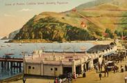 Avalon, Catalina Island Aquarium Postcard