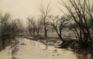 Creek Near Danville, IN Vintage RPPC Postcard
