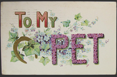 To My Pet Floral Postcard