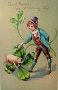St. Patrick's Day Pig Over Clover Postcard