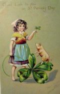 St. Patrick's Day Pig Over Clover Postcard