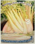 1894 Pink Plume Celery Antique Print ~ Peter Henderson Seed Co.
