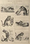1882 Palmer Cox ~ Cat & Mouse Antique Print