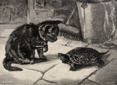 1891 Cat & Turtle Antique Print Engraving