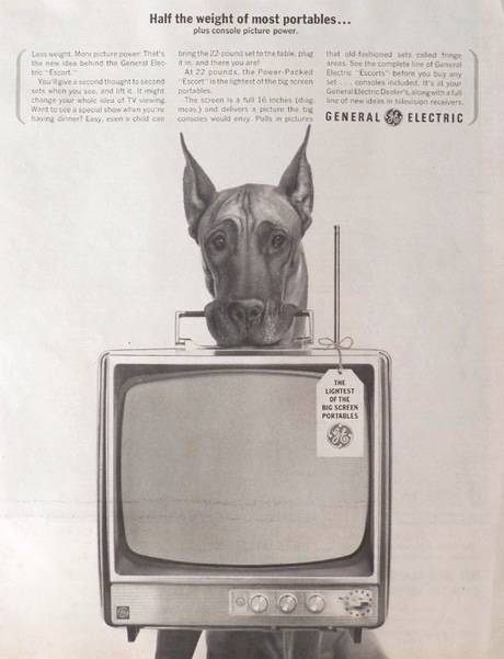 1963 GE "Escort" Portable TV Ad ~ Great Dane Dog