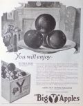 1919 "Big Y" Apples Ad ~ Yakima Valley