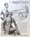 1920 David Adler Collegian Men's Clothing Ad ~ Palmetto & Norwood