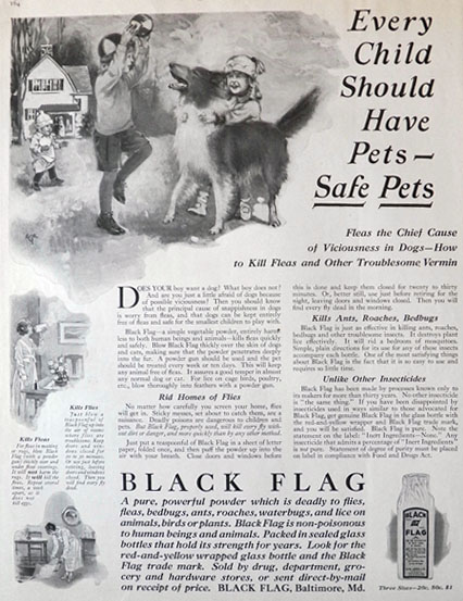 1921 Black Flag Bug Killer Ad ~ Safe for Pets