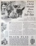 1921 Black Flag Bug Killer Ad ~ Safe for Pets
